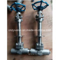 Avc Cryogenic Lcb Gate Valve and Forged Steel Gate Valve